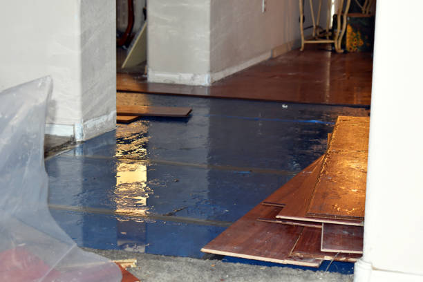 Professional Basement Flooding technician working in East Marion, NY